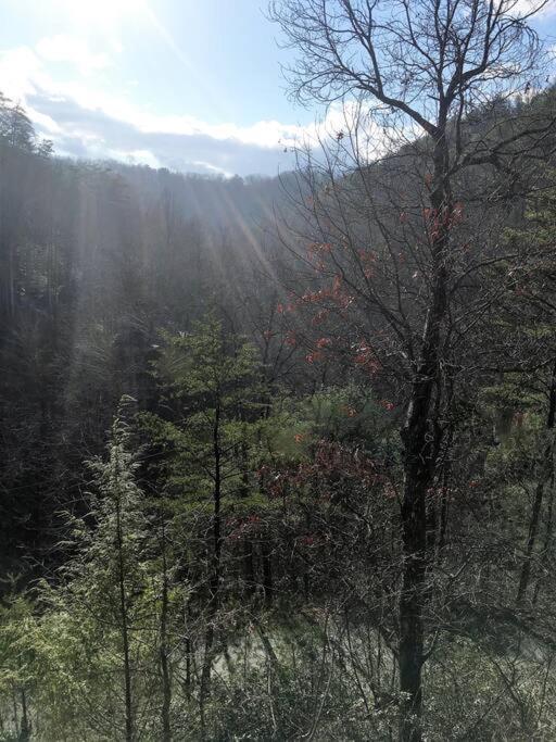 Little Cabin All To Yourself Sevierville Exterior foto
